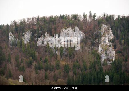 Stiegelesfels-Oberes Donautal, Landkreis Tuttlingen, Baden-Württemberg, Deutschland Stockfoto