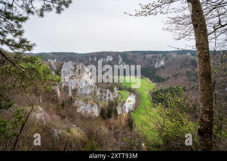 Stiegelesfels-Oberes Donautal, Landkreis Tuttlingen, Baden-Württemberg, Deutschland Stockfoto