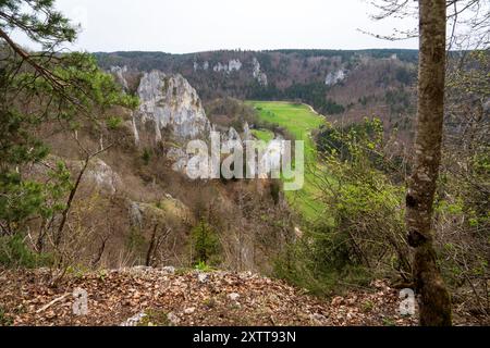 Stiegelesfels-Oberes Donautal, Landkreis Tuttlingen, Baden-Württemberg, Deutschland Stockfoto