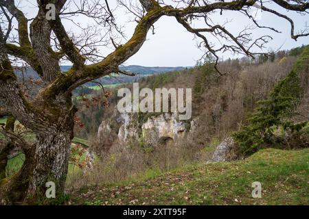 Stiegelesfels-Oberes Donautal, Landkreis Tuttlingen, Baden-Württemberg, Deutschland Stockfoto