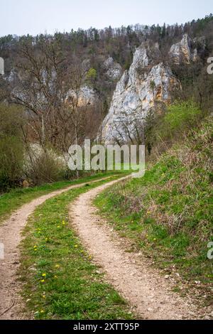 Stiegelesfels-Oberes Donautal, Landkreis Tuttlingen, Baden-Württemberg, Deutschland Stockfoto