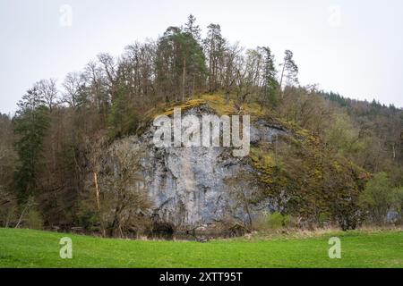 Stiegelesfels-Oberes Donautal, Landkreis Tuttlingen, Baden-Württemberg, Deutschland Stockfoto