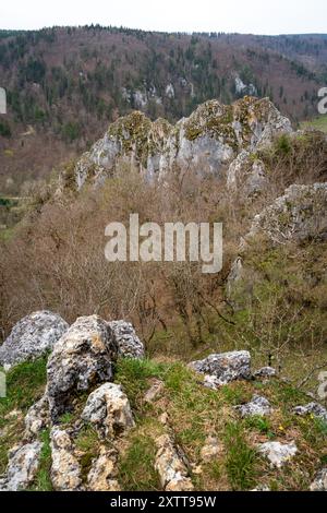 Stiegelesfels-Oberes Donautal, Landkreis Tuttlingen, Baden-Württemberg, Deutschland Stockfoto