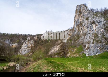 Stiegelesfels-Oberes Donautal, Landkreis Tuttlingen, Baden-Württemberg, Deutschland Stockfoto