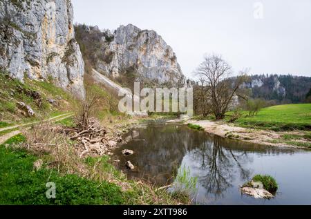 Stiegelesfels-Oberes Donautal, Landkreis Tuttlingen, Baden-Württemberg, Deutschland Stockfoto