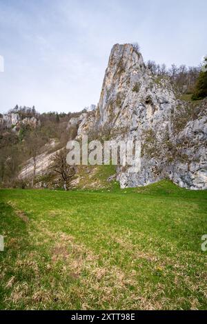 Stiegelesfels-Oberes Donautal, Landkreis Tuttlingen, Baden-Württemberg, Deutschland Stockfoto