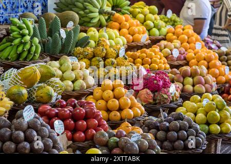 Farbenfrohe frische Früchte, die ordentlich in Häufchen platziert werden und am 6. August 2024 auf dem Markt Mercado dos Lavradores im Herzen von Funchal, Madeira, verkauft werden. Stockfoto