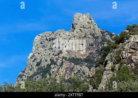 Blick auf das Caroux-Massiv und die Schluchten von Heric. Haut-Languedoc, Occitanie, Frankreich Stockfoto