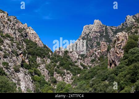 Blick auf das Caroux-Massiv und die Schluchten von Heric. Haut-Languedoc, Occitanie, Frankreich Stockfoto