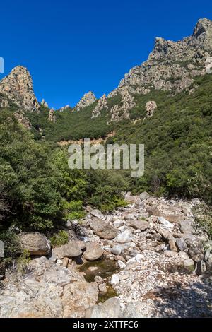 Blick auf das Caroux-Massiv und die Schluchten von Heric. Haut-Languedoc, Occitanie, Frankreich Stockfoto