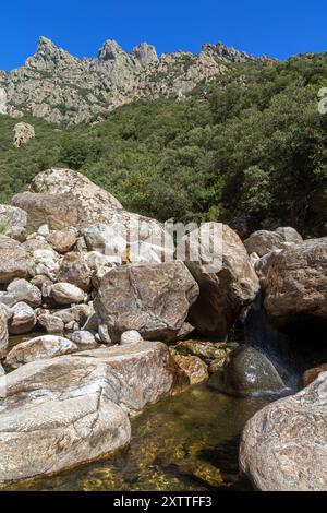 Blick auf das Caroux-Massiv und die Schluchten von Heric. Haut-Languedoc, Occitanie, Frankreich Stockfoto