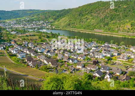 Alken-Stadt an der Mosel in Rheinland-Pfalz im Frühjahr Stockfoto