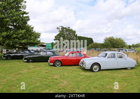 Jaguar Mk1 Saloons aus den 1950er Jahren, Mike Hawthorm Museum (Privatsammlung), England, Großbritannien, Großbritannien, Europa Stockfoto