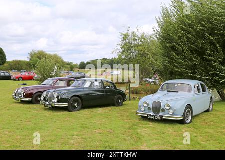 Jaguar Mk1 Saloons aus den 1950er Jahren, Mike Hawthorm Museum (Privatsammlung), England, Großbritannien, Großbritannien, Europa Stockfoto