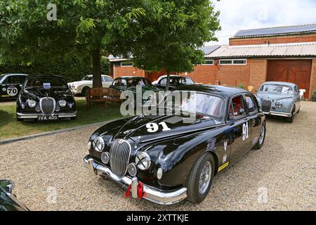 Jaguar Mk1 Saloons aus den 1950er Jahren, Mike Hawthorm Museum (Privatsammlung), England, Großbritannien, Großbritannien, Europa Stockfoto