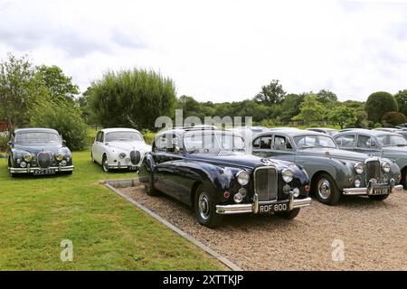 Jaguar Saloons aus den 1950er Jahren, Mike Hawthorm Museum (Privatsammlung), England, Großbritannien, Großbritannien, Europa Stockfoto