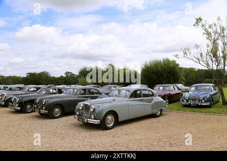 Jaguar Saloons aus den 1950er Jahren, Mike Hawthorm Museum (Privatsammlung), England, Großbritannien, Großbritannien, Europa Stockfoto
