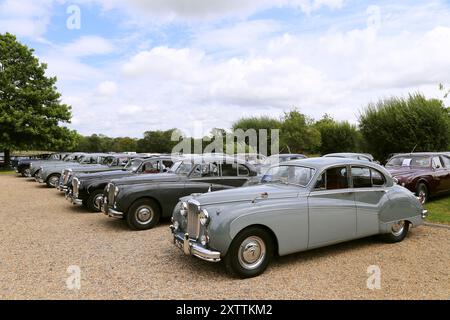 Jaguar Saloons aus den 1950er Jahren, Mike Hawthorm Museum (Privatsammlung), England, Großbritannien, Großbritannien, Europa Stockfoto