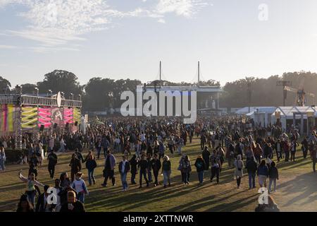 Atmosphäre beim Outside Lands 2024 Music and Arts Festival am 10. August 2024 im Golden Gate Park in San Francisco, Kalifornien. Foto: Picture Happy/imageSPACE /SIPA USA Stockfoto