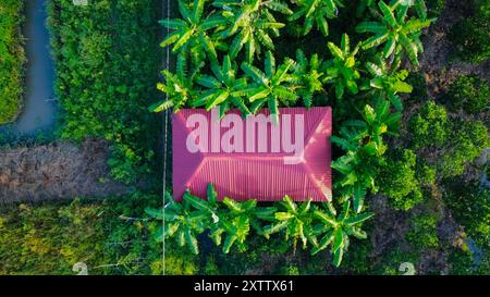 Landwirtschaftlich genutzte Flächen in Vietnam, Asien, von oben gesehen Stockfoto
