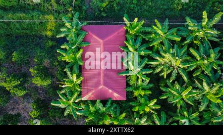 Landwirtschaftlich genutzte Flächen in Vietnam, Asien, von oben gesehen Stockfoto