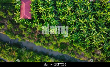 Landwirtschaftlich genutzte Flächen in Vietnam, Asien, von oben gesehen Stockfoto