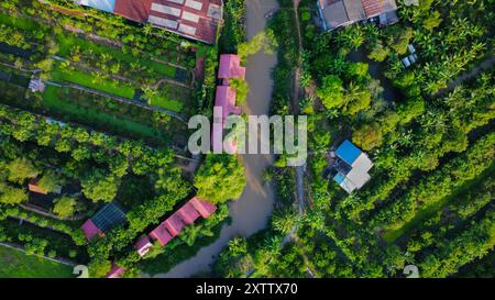 Landwirtschaftlich genutzte Flächen in Vietnam, Asien, von oben gesehen Stockfoto