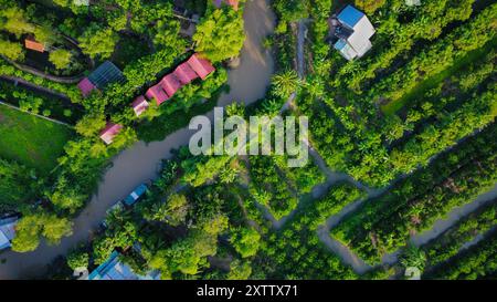 Landwirtschaftlich genutzte Flächen in Vietnam, Asien, von oben gesehen Stockfoto