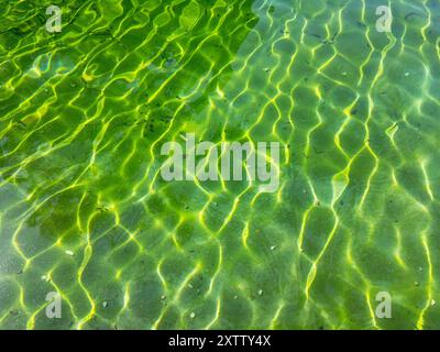 Abstrakter Hintergrund, grünes Wasser mit gelbem Sonneneffekt Stockfoto