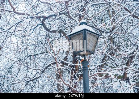 Straßenlicht und schneebedeckter Baum. Stockfoto