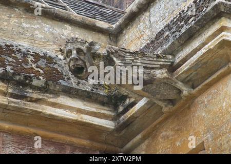 Gargoyle von William Burges am Knightshayes Court, Tiverton, Devon, England Stockfoto