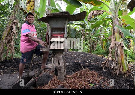 PAPUA-NEUGUINEA, Provinz Eastern Highlands, Goroka, Kaffeeanbau / PAPUA NEUGUINEA, Provinz Eastern Highlands, Goroka, Dorf Masumave, Kaffee Anbau, Bauer Mark Ailawa Stockfoto