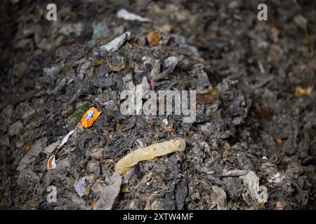 Berlin, Deutschland. August 2024. Grobe Abfälle wie Feuchttücher oder Kondom (Mitte) liegen in einem Behälter der Kläranlage Ruhleben, wo die Abfälle aus dem Abwasser über ein Sieb gesammelt werden. Die Kläranlage Berliner Wasserbetriebe erhält ein neues Filter- und UV-System. Quelle: Sebastian Gollnow/dpa/Alamy Live News Stockfoto