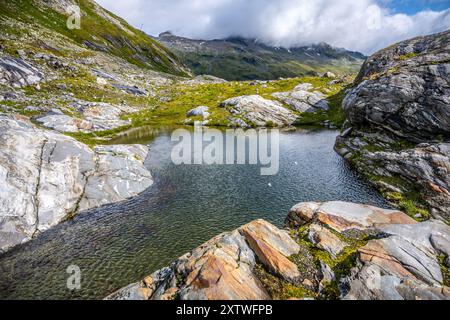 Ein ruhiger Blick auf den Schlaten Gletscher in Österreich zeigt einen ruhigen Teich umgeben von zerklüfteten Felsen und üppigem Grün unter einem teilweise bewölkten Himmel, der die natürliche Schönheit unterstreicht. Stockfoto