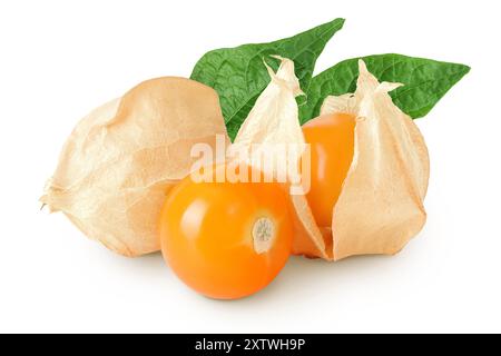 Kapstachelbeere oder Physalis isoliert auf weißem Hintergrund mit voller Schärfentiefe Stockfoto