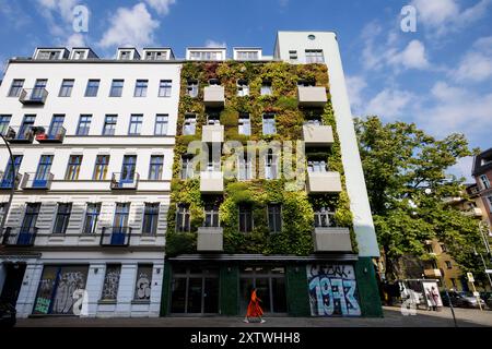 Berlin, Deutschland. August 2024. Die Fassade eines Wohnhauses in Berlin Kreuzberg ist begrünt, 15. August 2024. Die Begrünung von Hausfassaden trägt zur Verbesserung des Klimas und der Luft bei, schützt den Wohnraum vor Hitze und Kälte und ist auch Lebensraum für Tiere. Quelle: dpa/Alamy Live News Stockfoto