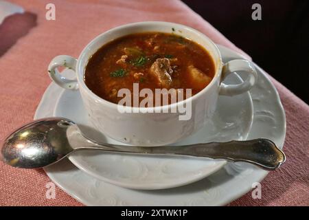 Deutsche Küche: Gulasch (ein Eintopf aus Ungarn) in Frankfurt, Deutschland Stockfoto