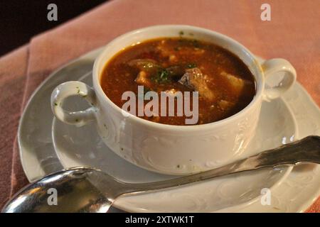 Deutsche Küche: Gulasch (ein Eintopf aus Ungarn) in Frankfurt, Deutschland Stockfoto