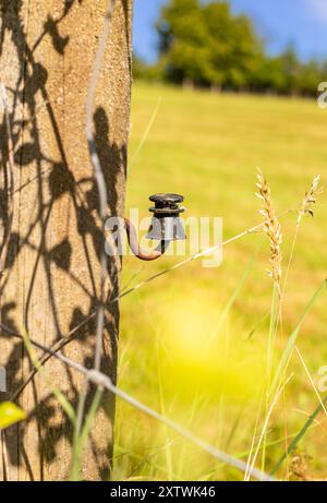 Elektrischer Isolator an einem Holzmast. Elektrischer Schutz der Weide. Elektrischer Schäferhund. Elektrozaun. Stockfoto