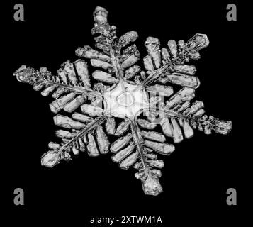 Nahaufnahme einer einzigartigen, komplizierten Schneeflocke mit einzigartigen geometrischen Mustern auf schwarzem Hintergrund. Stockfoto