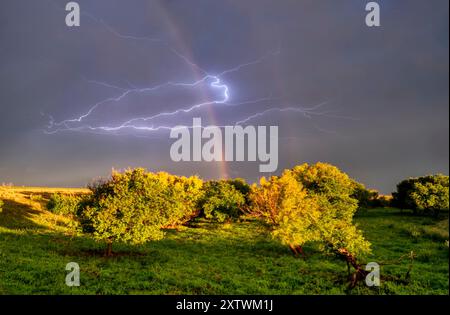 Lebendige Blitze, die den Himmel über einer üppig grünen Landschaft mit einem schwachen Regenbogen erleuchten. Stockfoto