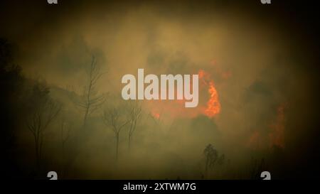 Izmir, Türkei. August 2024. Die Bemühungen um das Löschen eines Waldbrandes, der gestern Abend in einem Wald im Gebiet Yamanlar des Bezirks ​​the Karsıyaka in Izmir ausgebrochen ist, werden auf dem Land- und Luftweg fortgesetzt. Einige Viertel, in denen die Flammen aufgrund des starken Windes in Wohngebiete gelangten, wurden evakuiert. Es wurde beobachtet, dass das Feuer, das sich über ein weites Gebiet ausbreitete, einige Häuser, eine Schule und ein Industriegebiet verbrannte. Quelle: İdil Toffolo/Alamy Live News Stockfoto