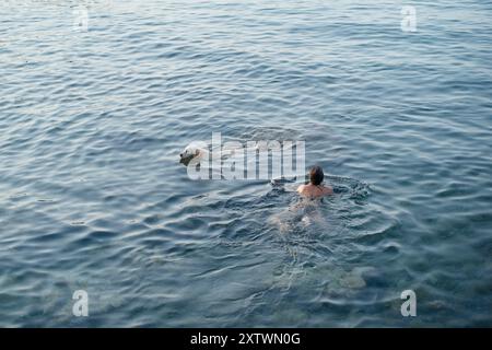 Zwei Personen schwimmen friedlich in einem ruhigen, weitläufigen Gewässer unter klarem Himmel. Stockfoto