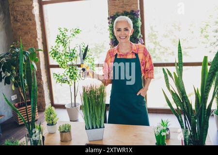 Foto-Porträt der hübschen Senior weiblichen professionellen Florist halten Schere Zimmerpflanzen Pflege Schürze arbeiten Blumengeschäft Lieferung Stockfoto