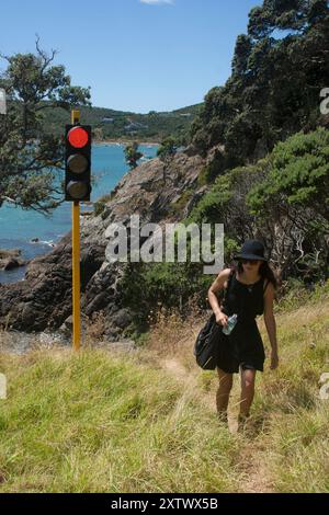 Frau in schwarzem Kleid und Hut geht in der Nähe einer Ampel auf einem grasbewachsenen Hügel am Meer, Waiheke Island, Neuseeland Stockfoto