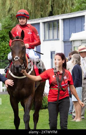 Windsor, Großbritannien. August 2024. Kieran O’Neill gewinnt die Tote Placepot Leg 4 Racing League 25 Handicap Stakes (Klasse 4) (für Pferde in der Pflege von Trainern, die in der Racing League registriert sind) für Wales & the West beim Racing League Meeting auf der Royal Windsor Racecourse, Windsor, Berkshire. Besitzer Midtech 2, Trainer Ian Williams, Alvechurch, Züchter Godolphin. Quelle: Maureen McLean/Alamy Live News Stockfoto