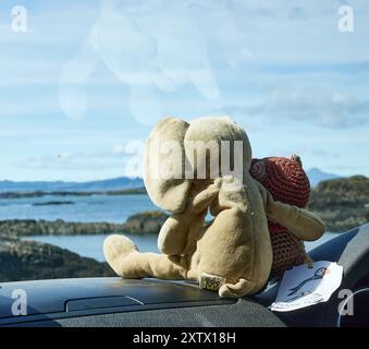 2 weiche Spielzeuge blicken vom Armaturenbrett eines Familienautos in Arisaig, Lochaber, Invernes-shire, Schottland. Stockfoto