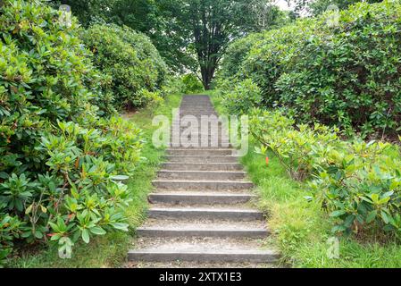 Stufen führen durch üppige grüne Hecken. Stockfoto