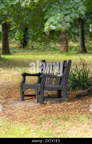 Eine einzige Holzbank, auf der niemand steht, unter einem Baumdach mit herbstlichen Blättern auf dem Boden. Stockfoto