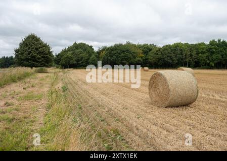 Aufgerollte Heubügel in der englischen Landschaft. Stockfoto